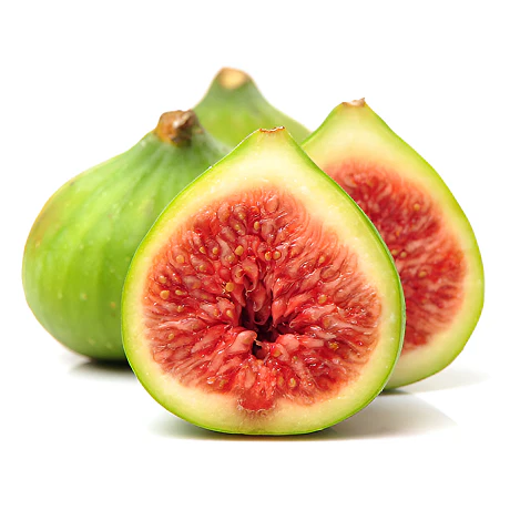 Fig