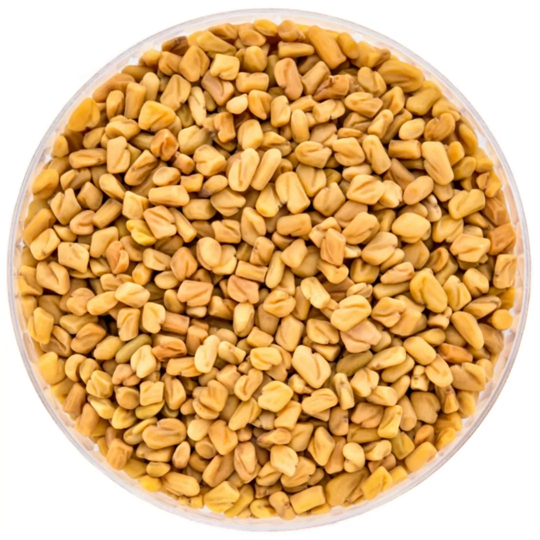 Fenugreek
